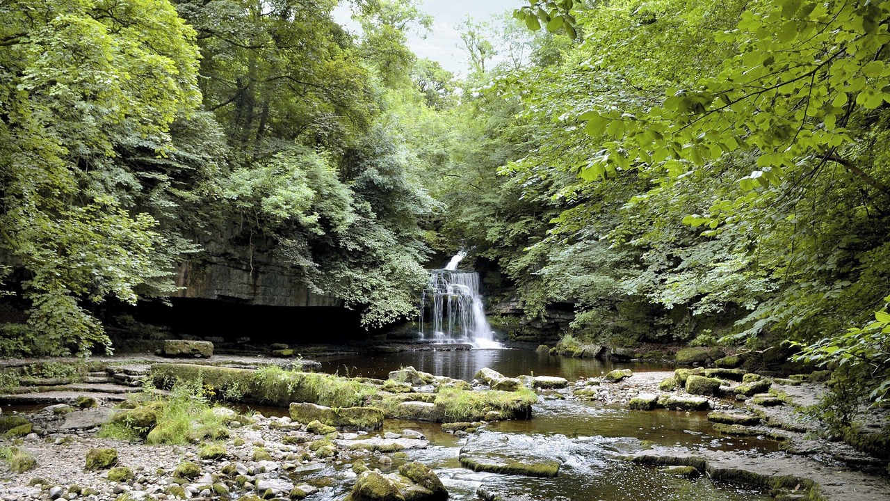 Photo of Others in Leyburn