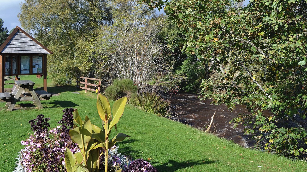 Photo of Others in Nethy Bridge