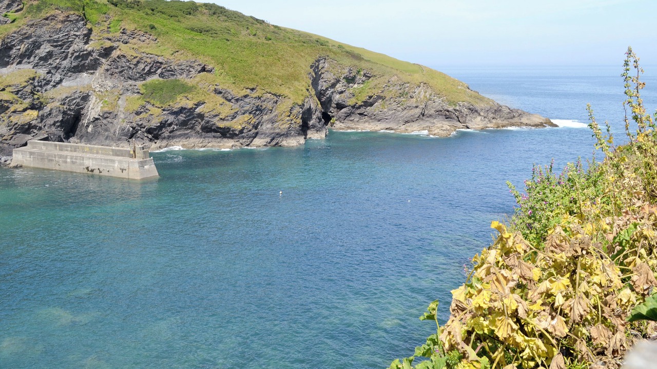 Photo of Others in Port Isaac