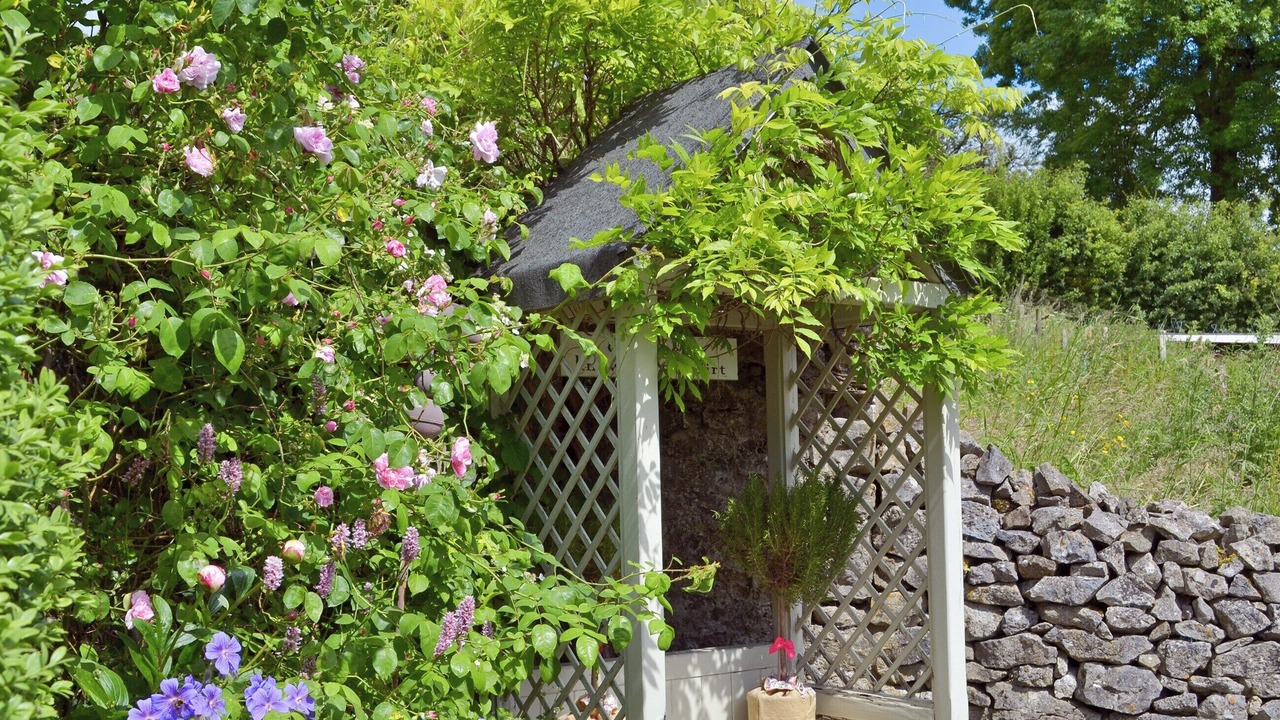 Photo of Outdoor in Bonsall