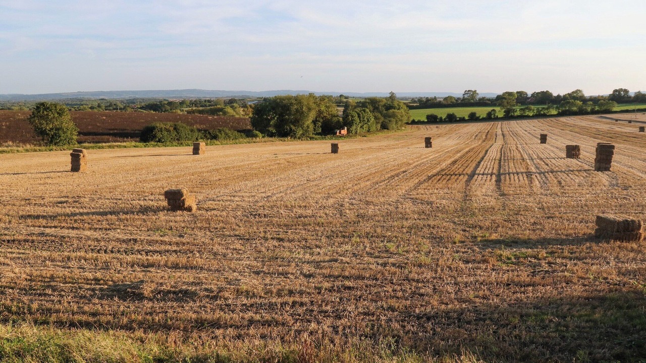 Photo of Others in Alcester