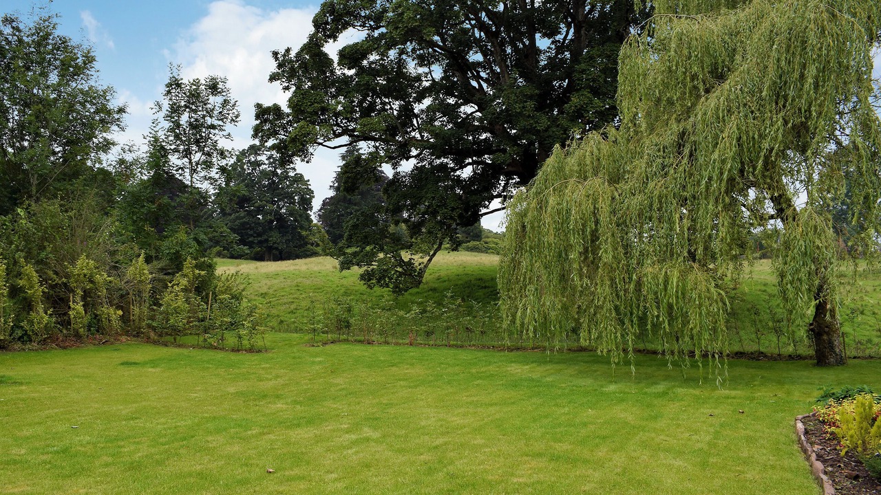 Photo of Outdoor in Muthill