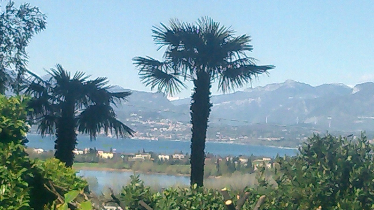 Photo of Others in San Benedetto di Lugana