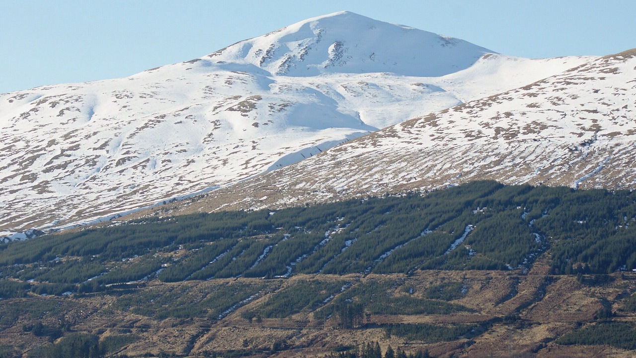 Photo of Others in Fearnan