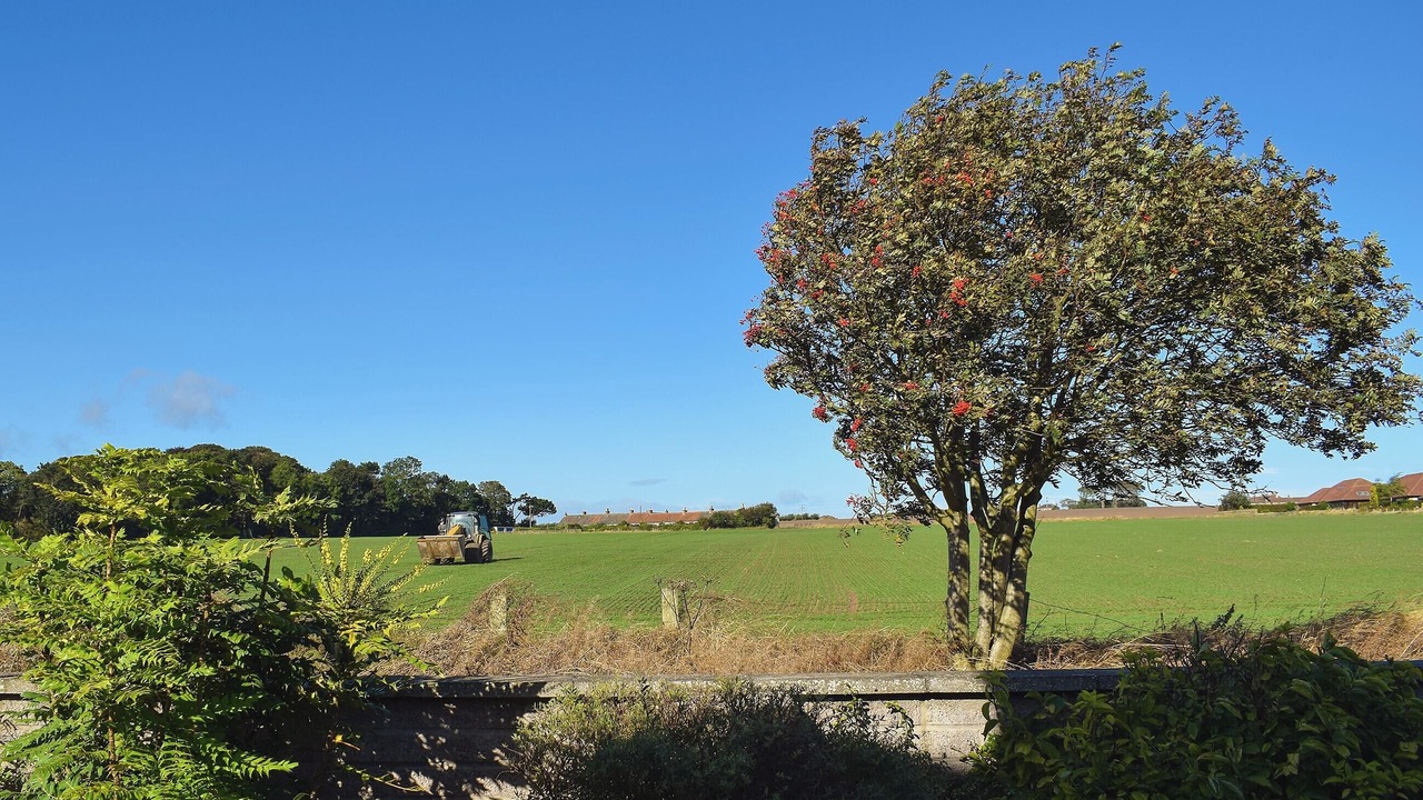 Photo of Outdoor in Crail