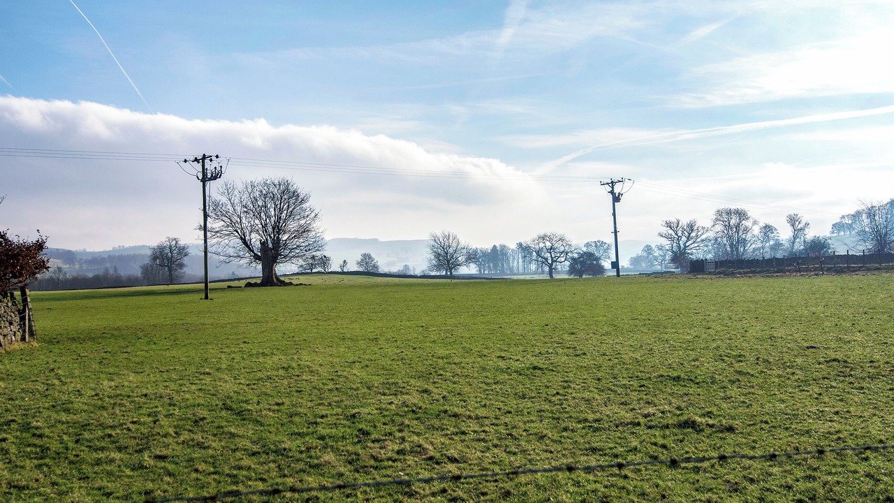 Photo of Others in Askham