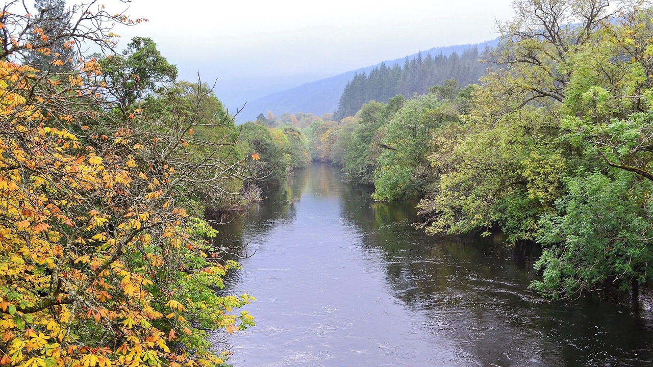 Photo of Others in Strathyre