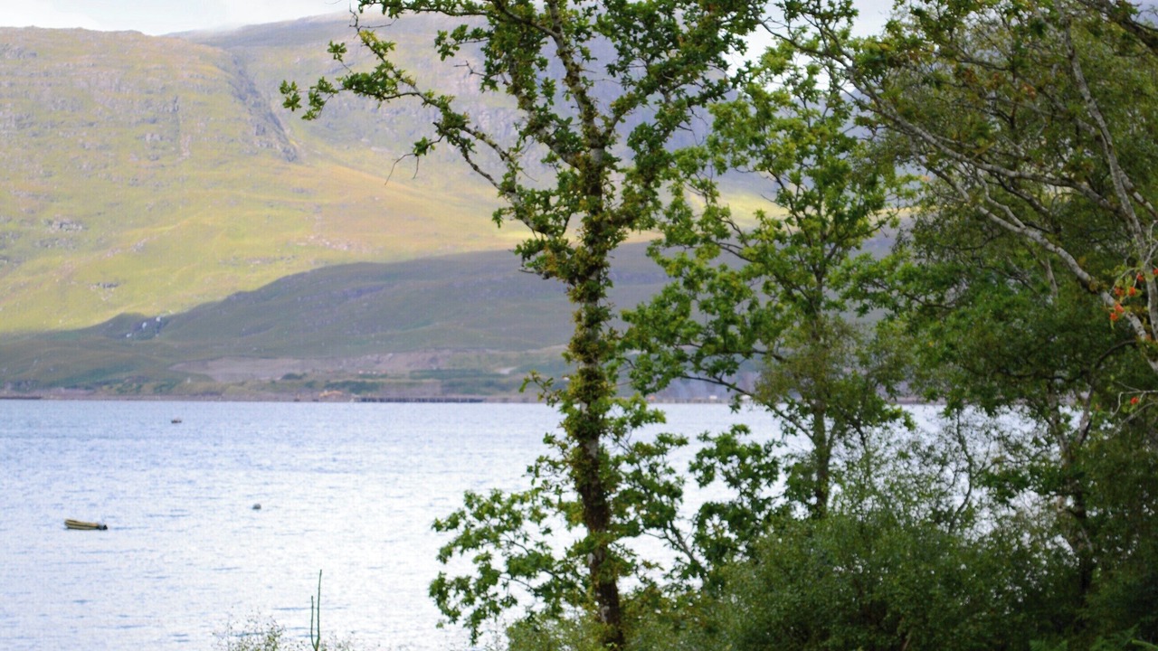 Photo of Others in Strathcarron