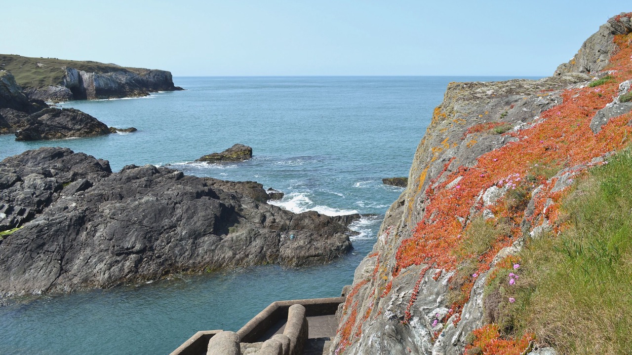 Photo of Others in Rhoscolyn
