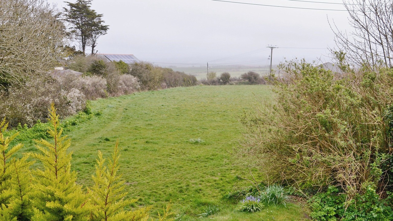 Photo of Others in Cubert