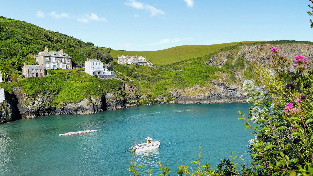 Photo of Others in Port Isaac