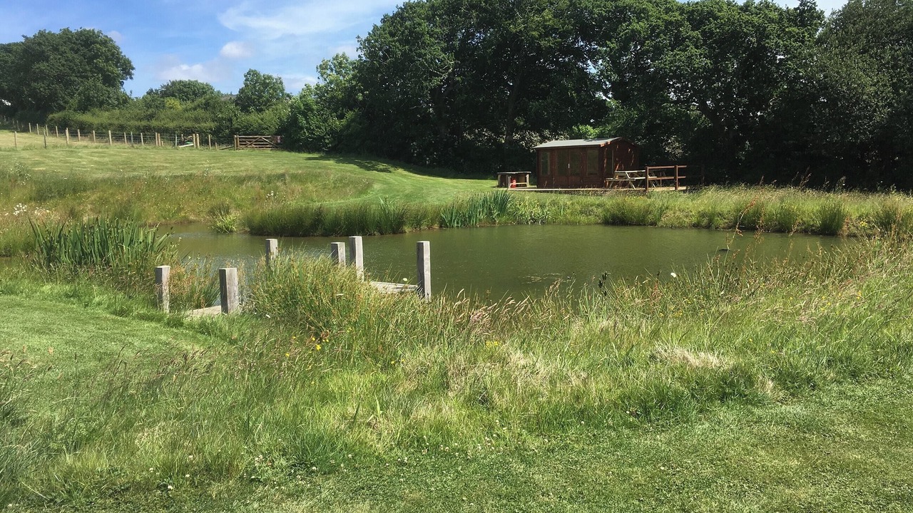 Photo of Outdoor in Brazzacott