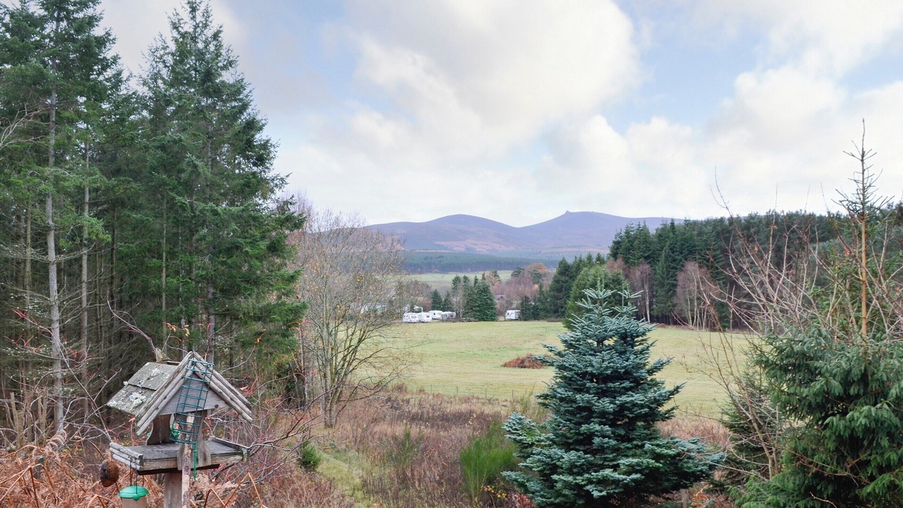 Photo of Others in Banchory