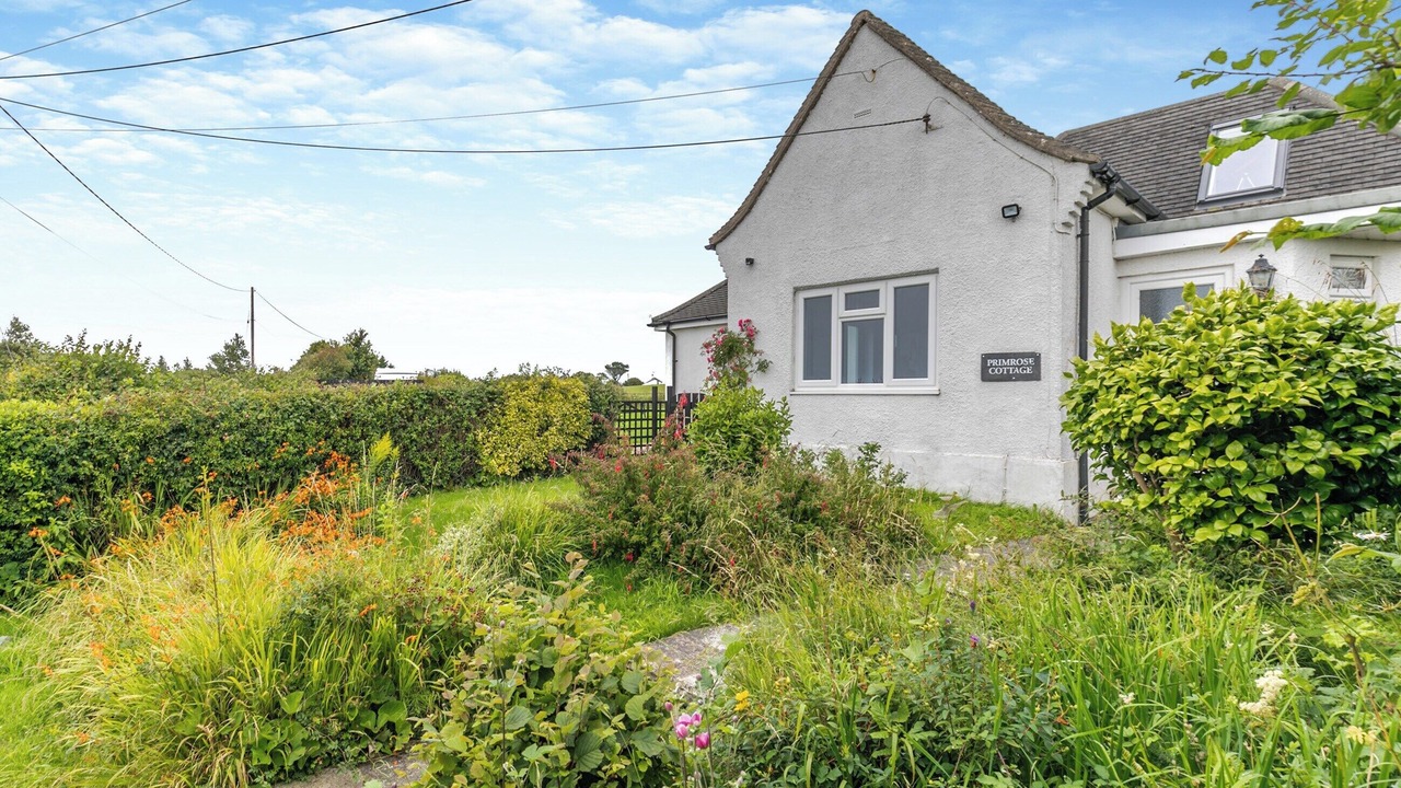 Photo of Outdoor in Widemouth Bay