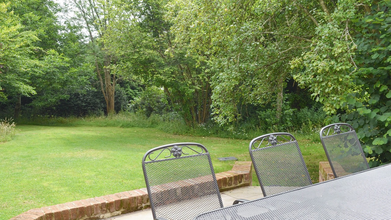 Photo of Outdoor in New Forest District