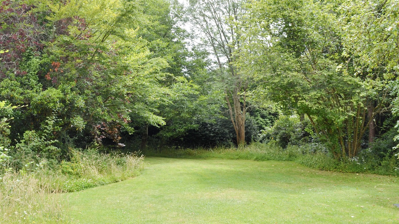 Photo of Outdoor in New Forest District