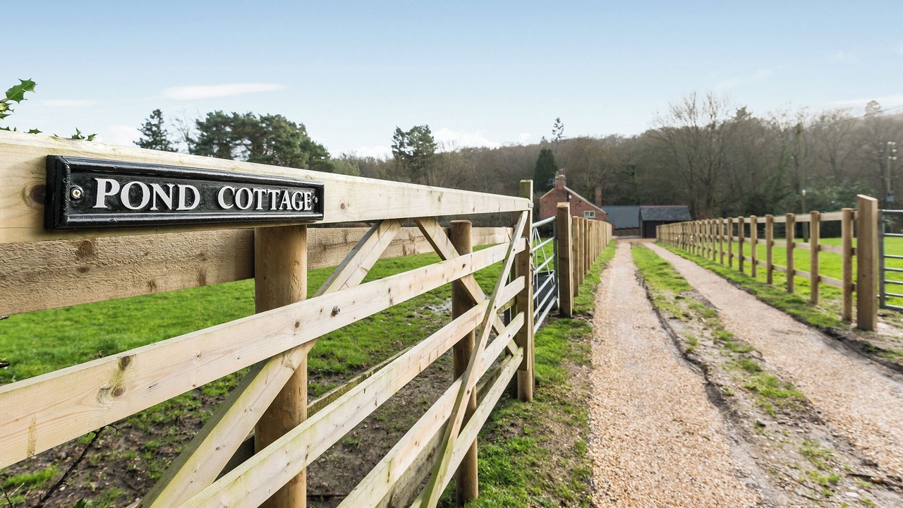 Photo of Others in New Forest District