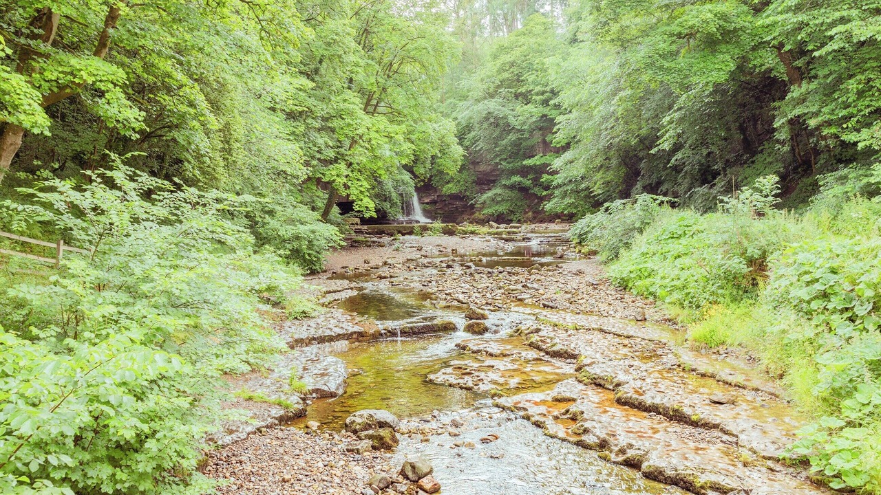 Photo of Others in Leyburn