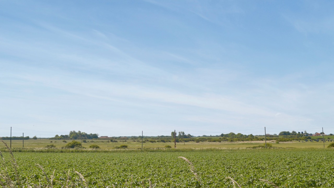 Photo of Others in Happisburgh