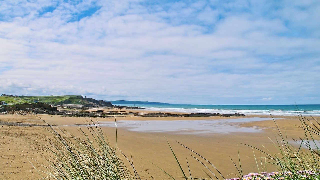 Photo of Others in Bude