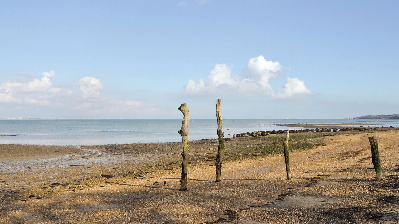 Photo of Others in Ryde