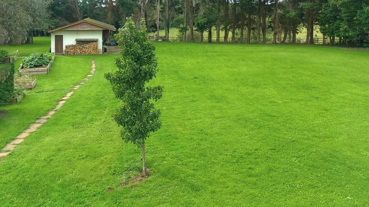 Photo of Outdoor in Adgestone