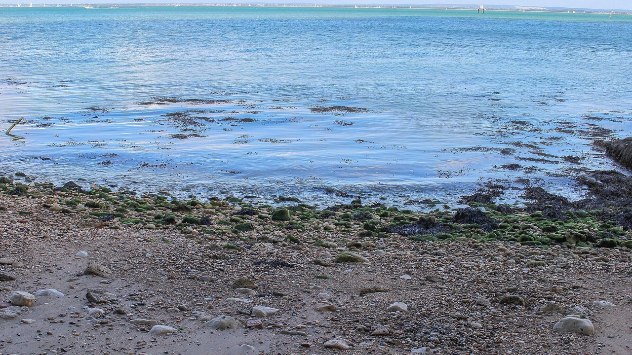 Photo of Others in Ryde