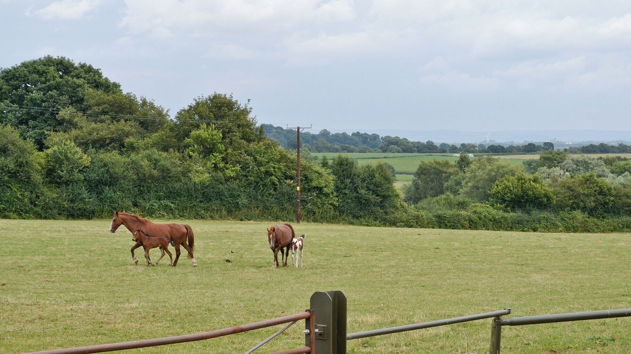 Photo of Others in Lydney