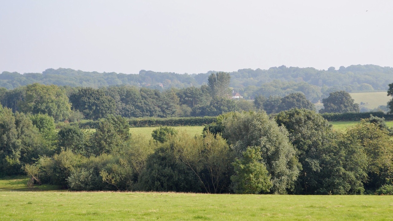 Photo of Others in Wadhurst