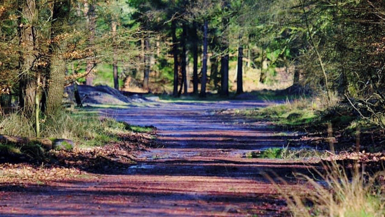 Photo of Others in Whitecroft