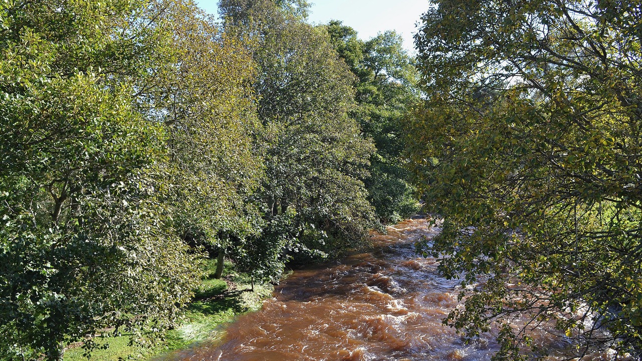 Photo of Others in Nethy Bridge