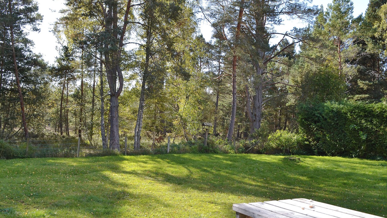Photo of Outdoor in Nethy Bridge