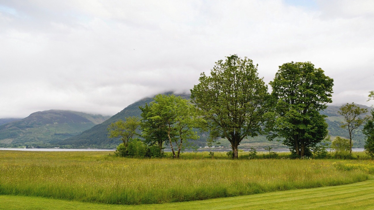 Photo of Others in Onich
