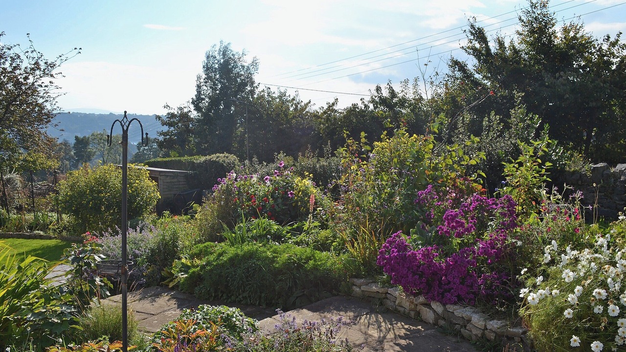 Photo of Outdoor in Menai Bridge