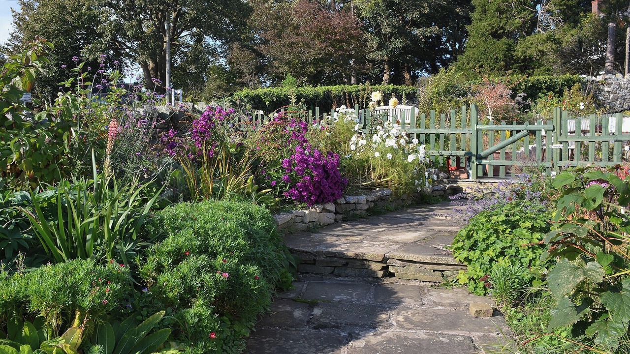 Photo of Outdoor in Menai Bridge