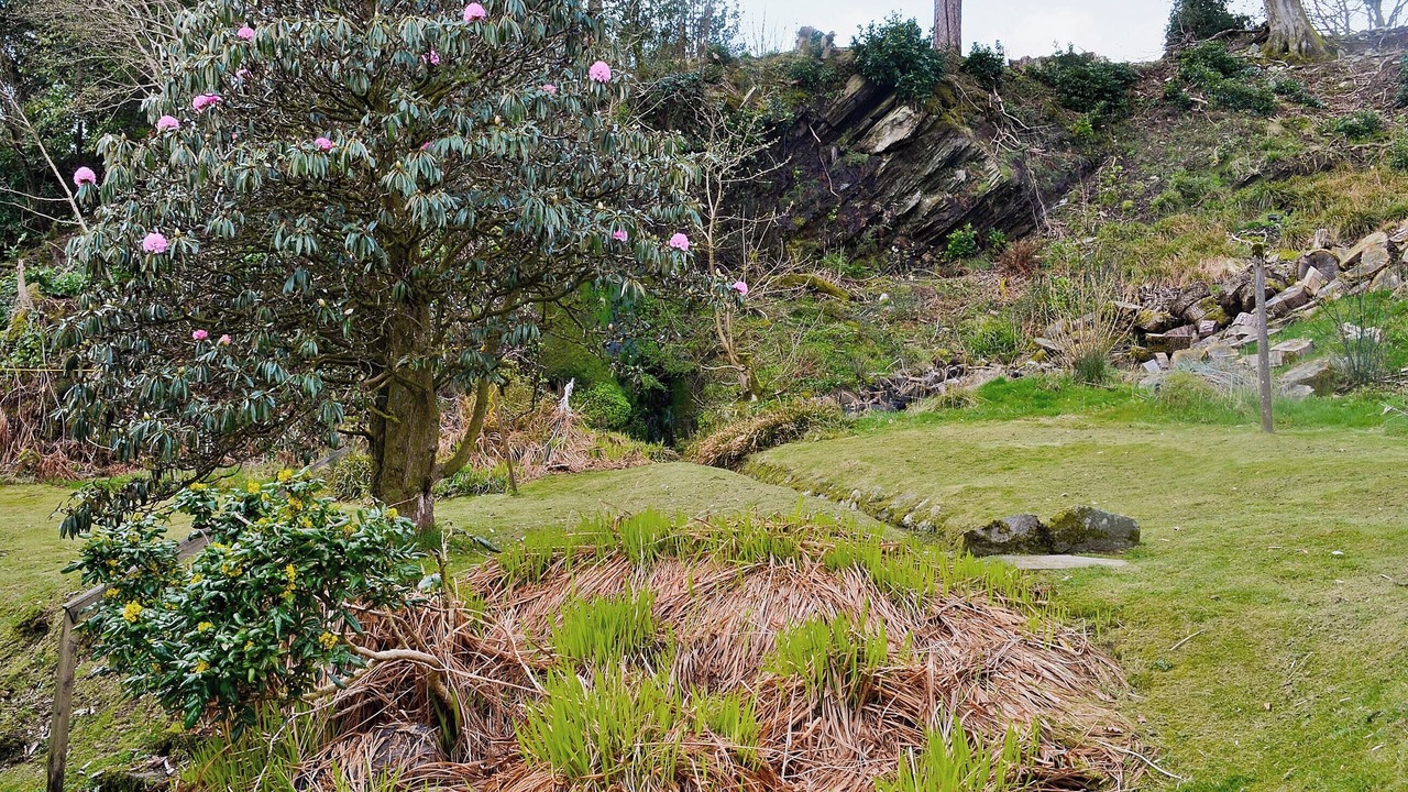 Photo of Outdoor in Strone