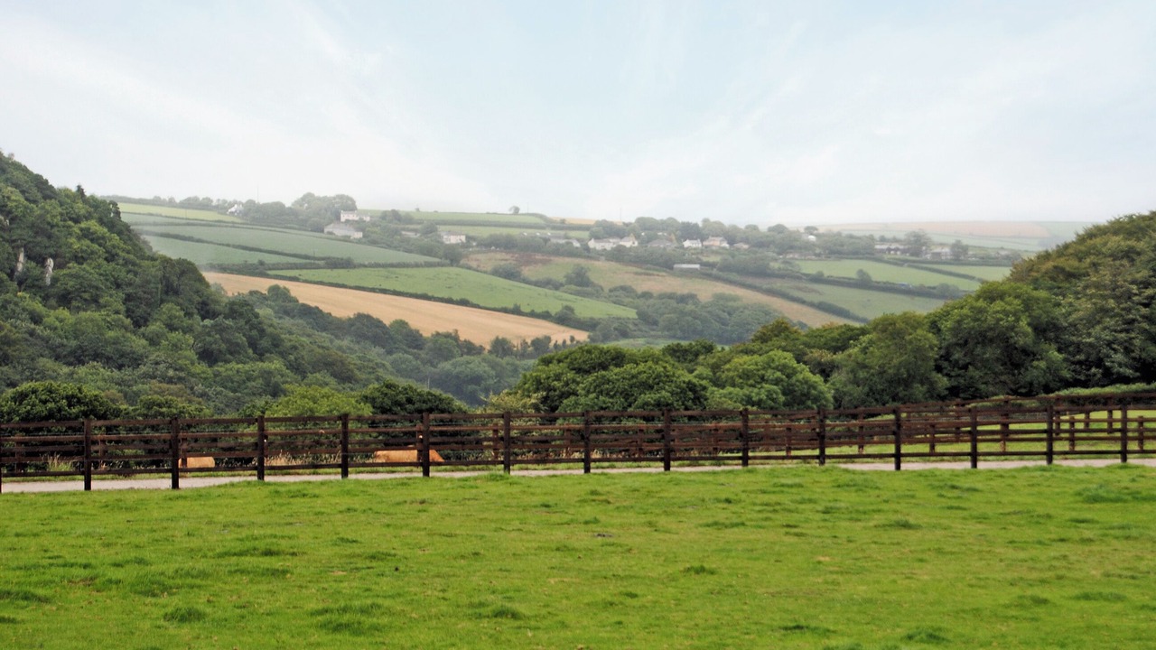 Photo of Outdoor in Boscundle