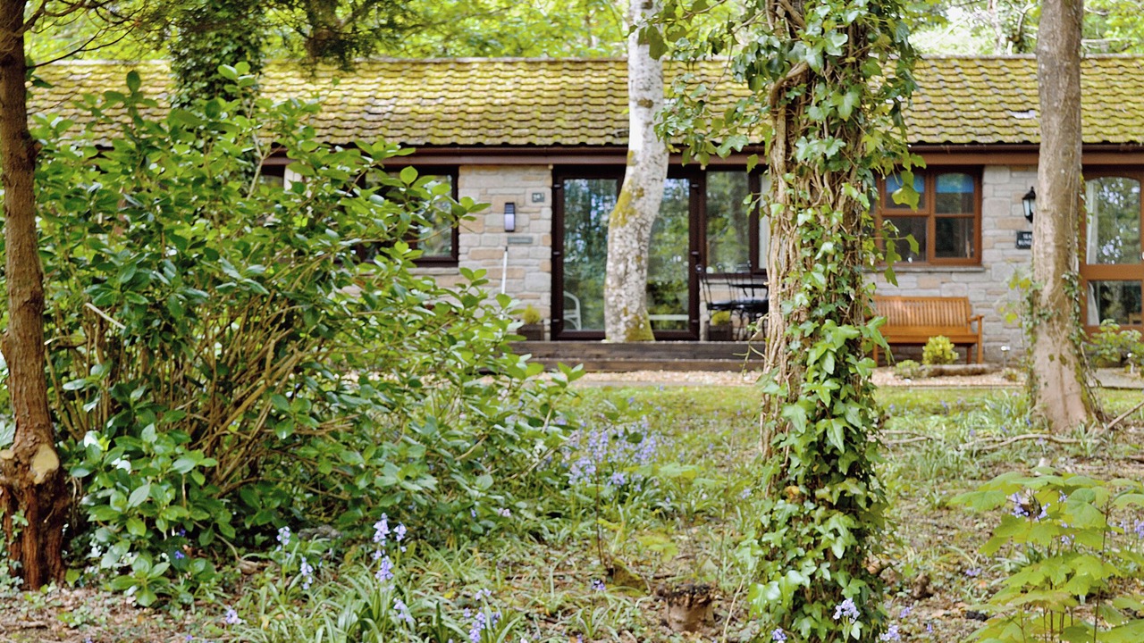 Photo of Outdoor in Lelant