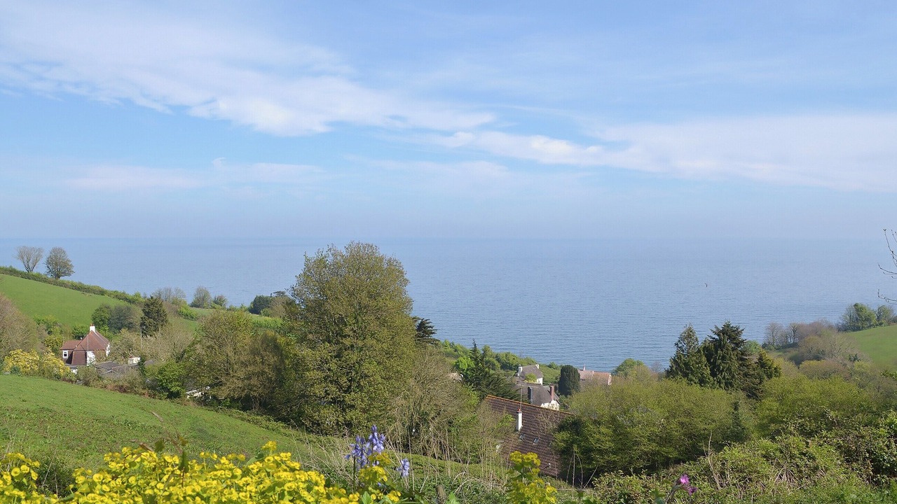 Photo of Others in Torquay