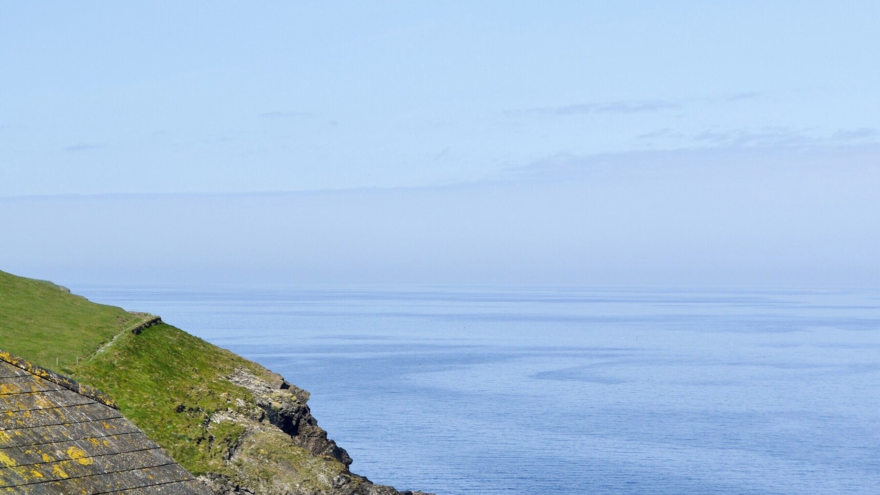 Photo of Others in Port Isaac