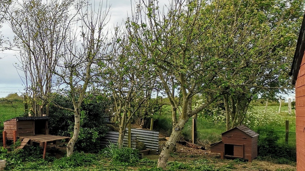 Photo of Outdoor in Ballymoney