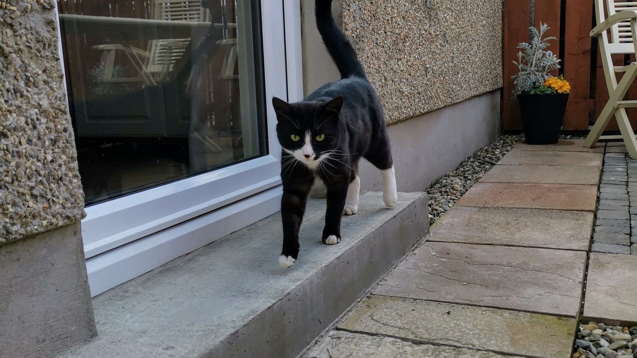 Photo of Outdoor in Ballymoney