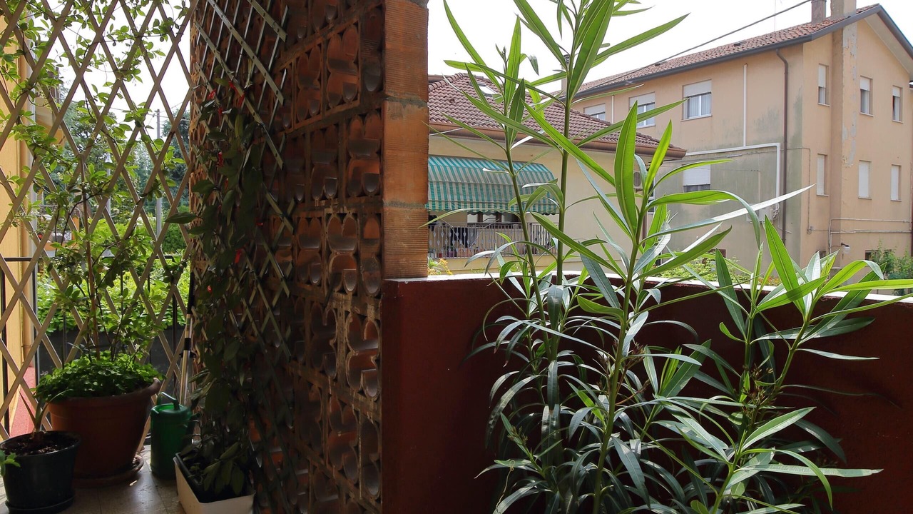 Photo of Outdoor in Mestre