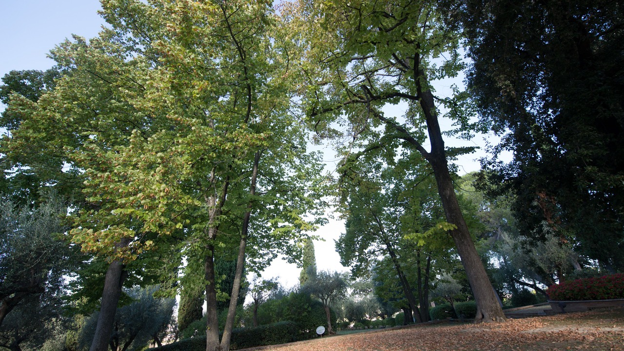 Photo of Outdoor in Gradara