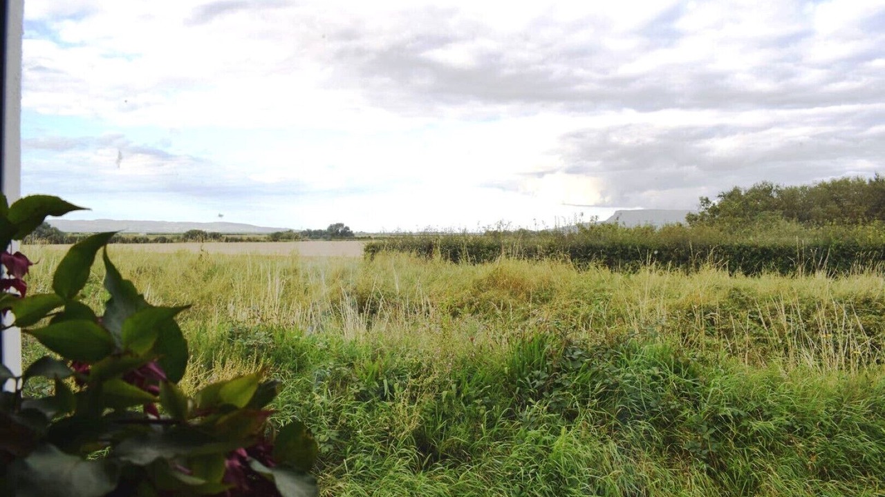 Photo of Others in Limavady