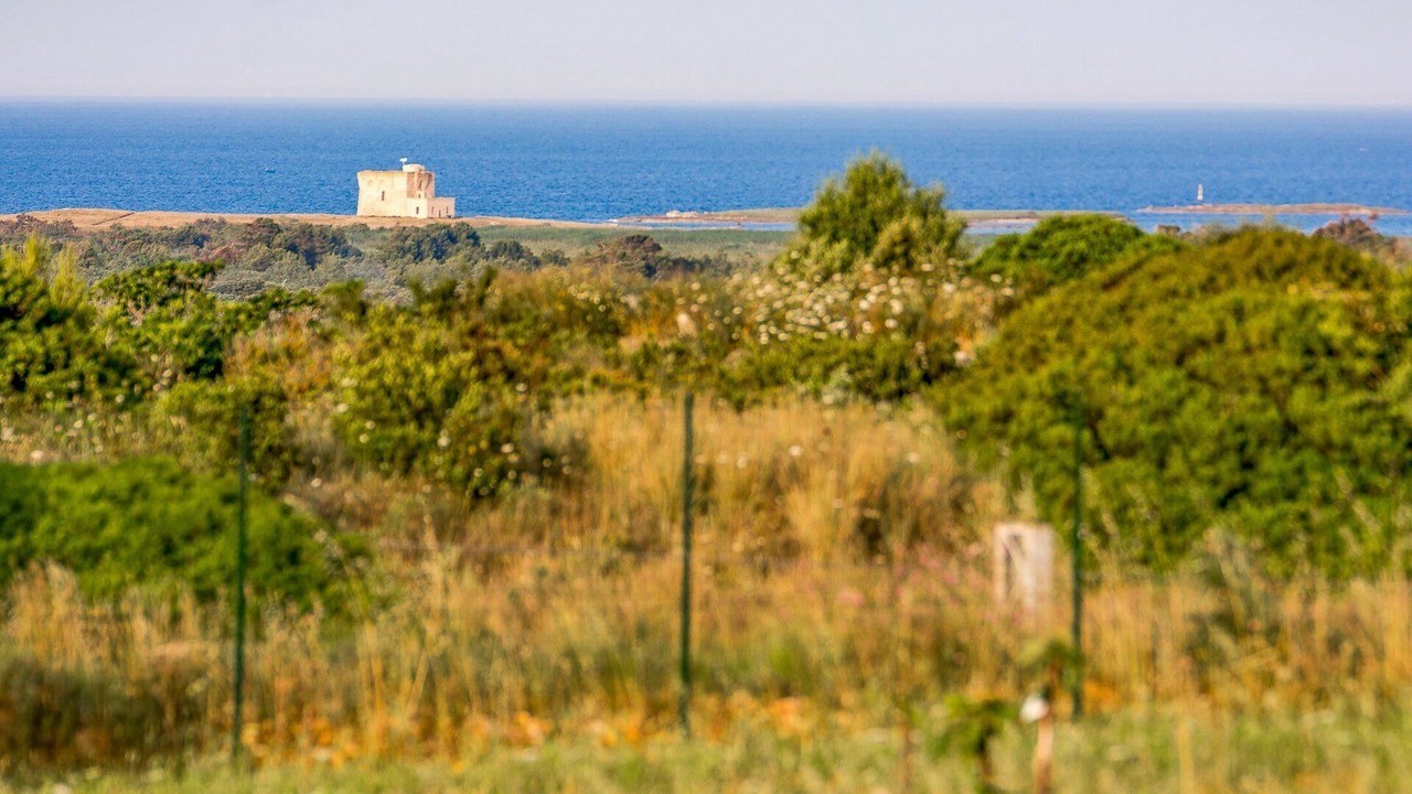 Photo of Others in Carovigno