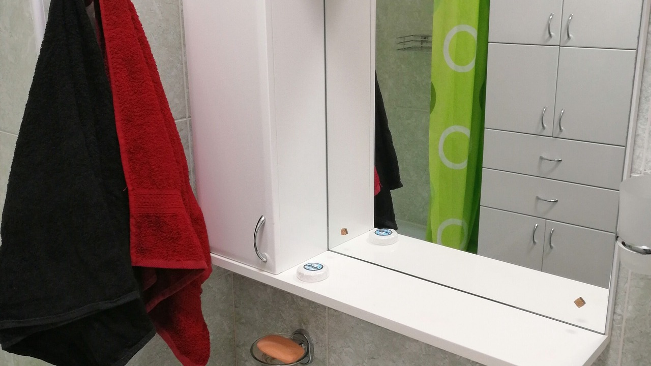 Photo of Bathroom in Sremski Karlovci