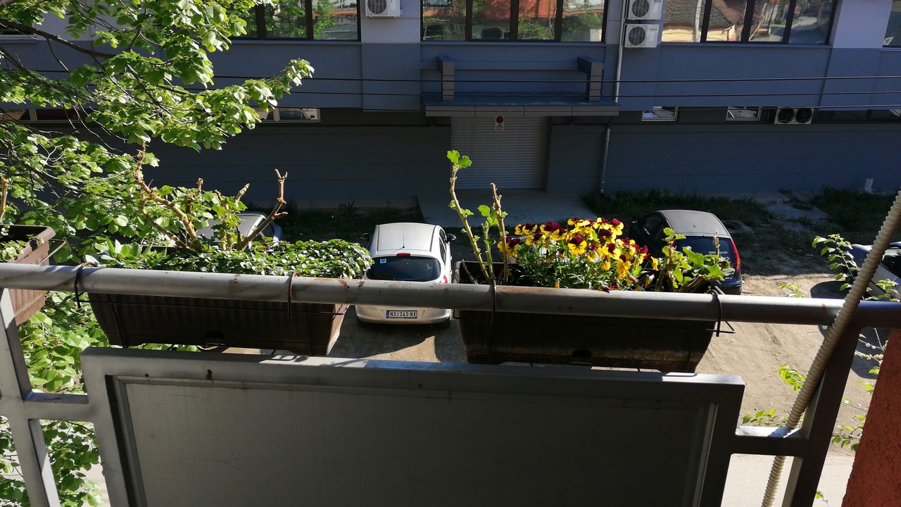 Photo of Outdoor in Sremski Karlovci