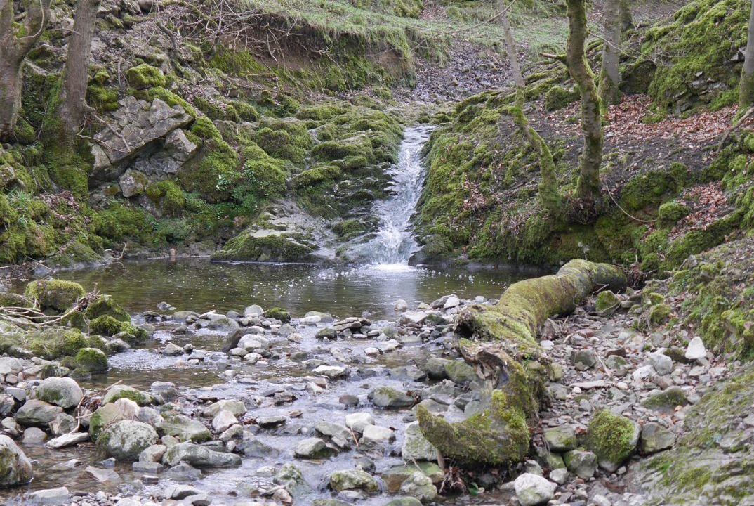 Photo of Outdoor in Airton