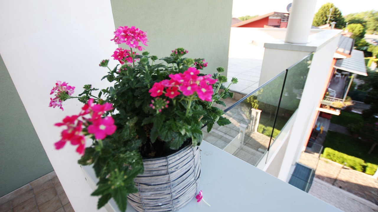 Photo of Outdoor in Sud